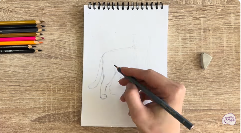 Рисуем Кошка Бурмилла