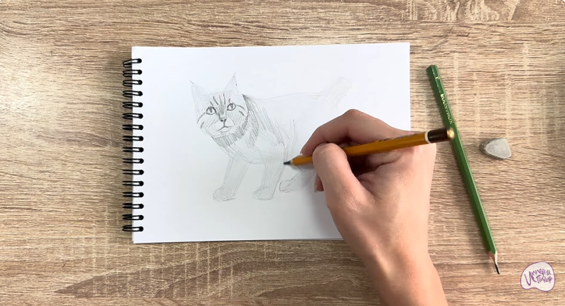 Рисуем Пиксибоб