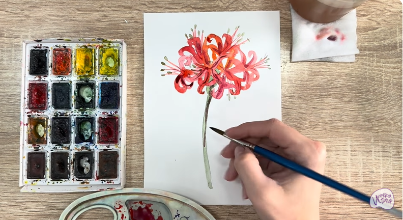 Рисуем Ликорис