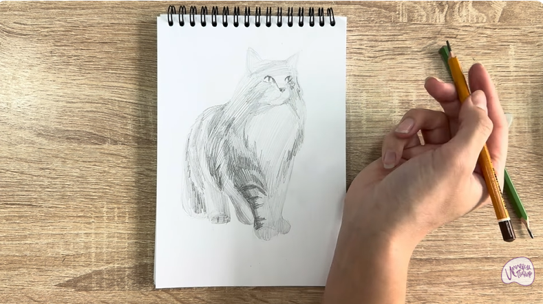 Рисуем Норвежский лесной кот