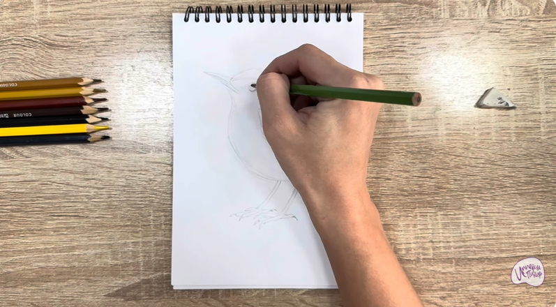 Рисуем Крапивник