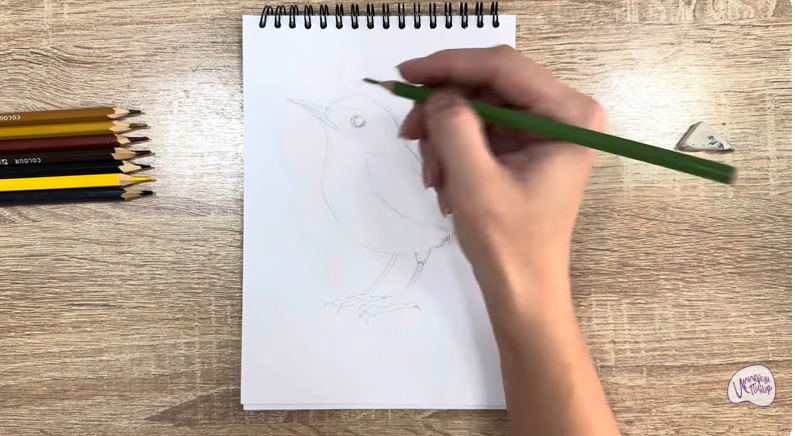 Рисуем Крапивник