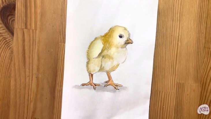 Рисуем Цыпленок