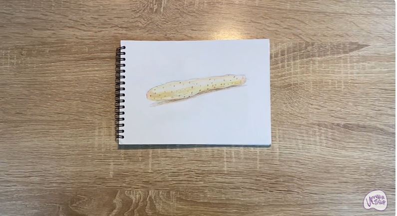 Рисуем Ямс