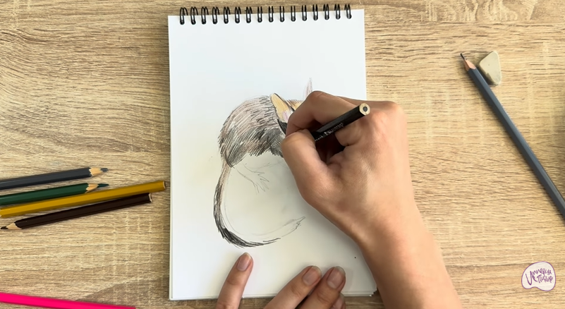 Рисуем Садовая соня