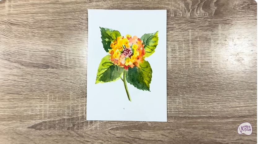 Рисуем Лантана Рисуем Лантана