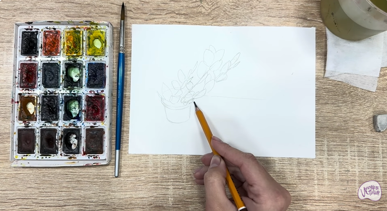 Рисуем Пеллиония в горшке