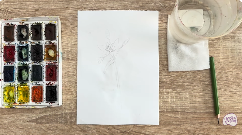 Рисуем Ясколка длинноволосая