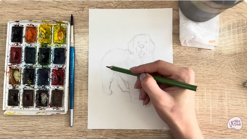 Рисуем Собака породы Ньюфаундленд