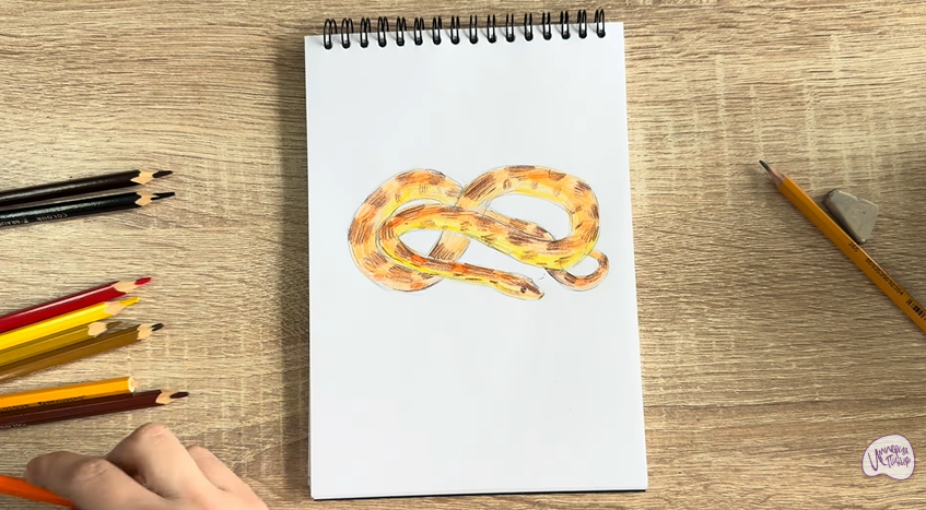 Рисуем Маисовый полоз
