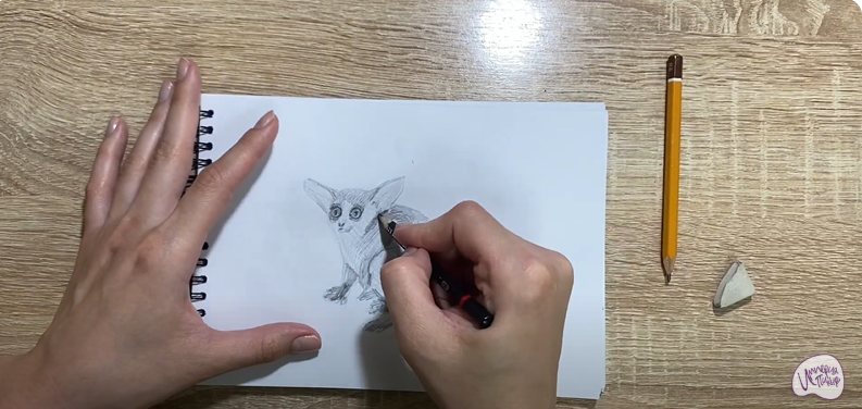 Рисуем Галаго