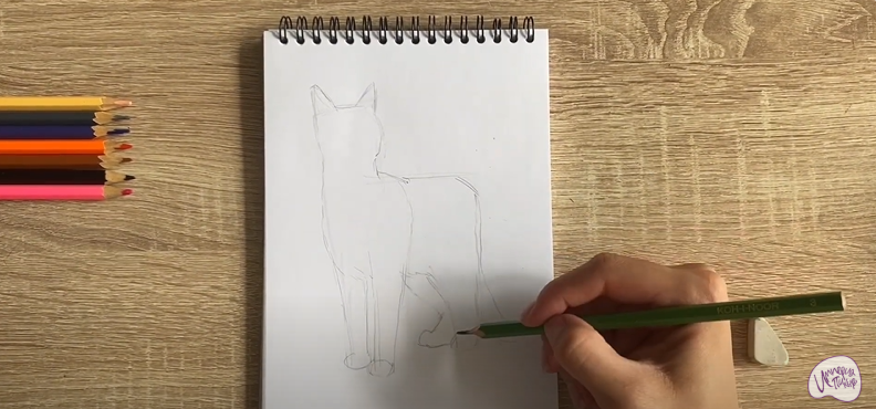 Рисуем Кот породы "японский бобтейл"