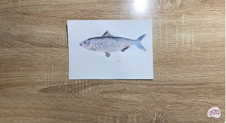 Рисуем Тюлька