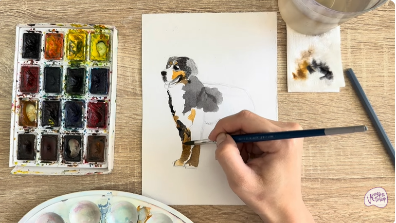 Рисуем Собака породы Бернский зенненхунд