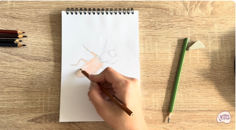 Рисуем Мукоед