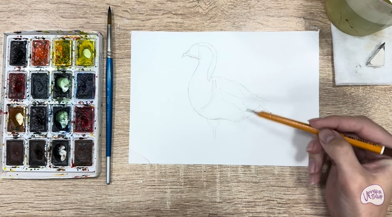 Рисуем Краснозобая казарка