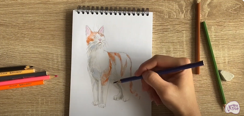 Рисуем Кот породы "японский бобтейл"