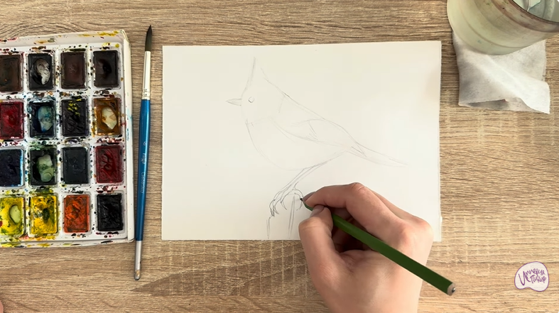 Рисуем Хохлатая синица