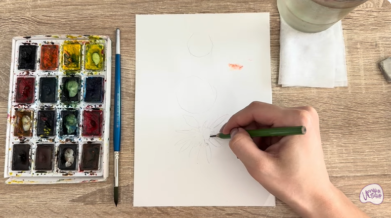 Рисуем Лапчатка