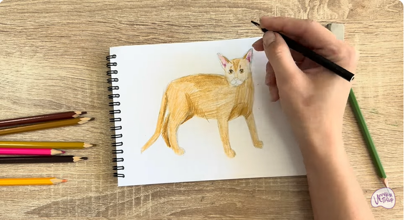 Рисуем Кот породы Оцикет