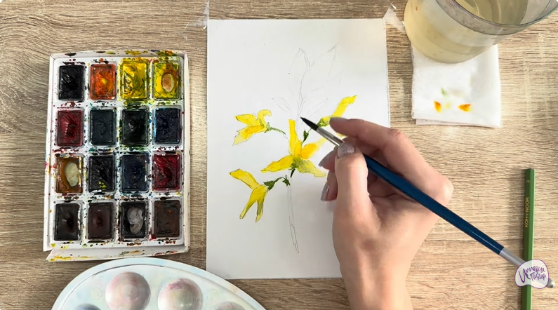 Рисуем Форзиция