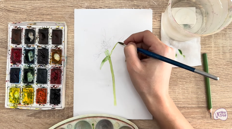 Рисуем Ясколка длинноволосая