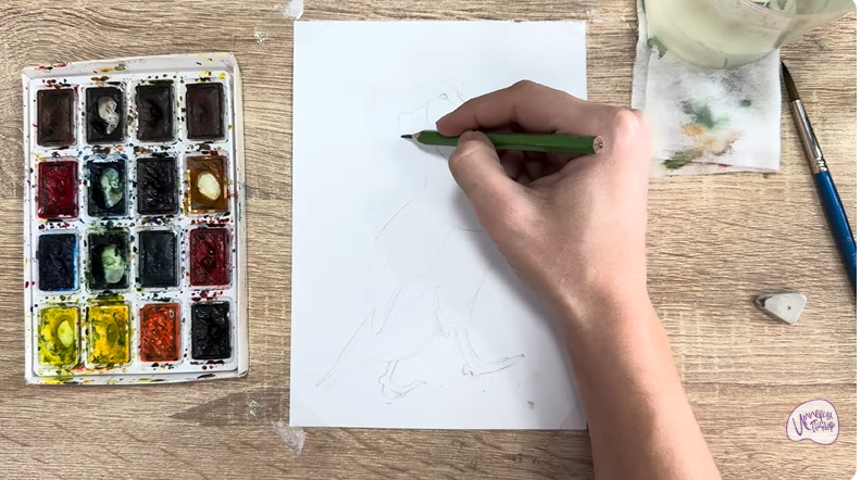 Рисуем Обыкновенная гага