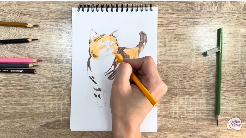 Рисуем Кошка породы "Манчкин"