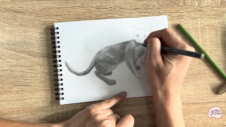 Рисуем Бомбейская кошка