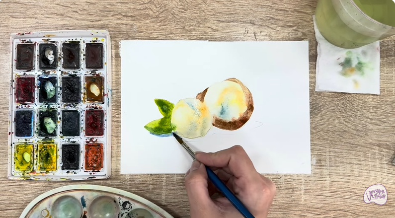 Рисуем Макадамия