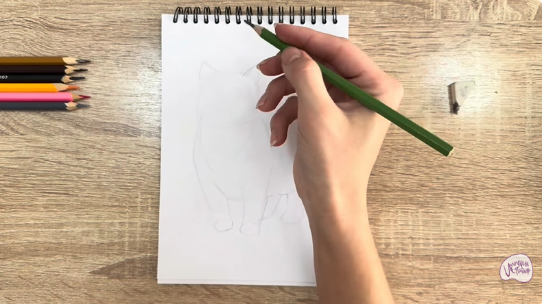 Рисуем Кошка породы "Манчкин"