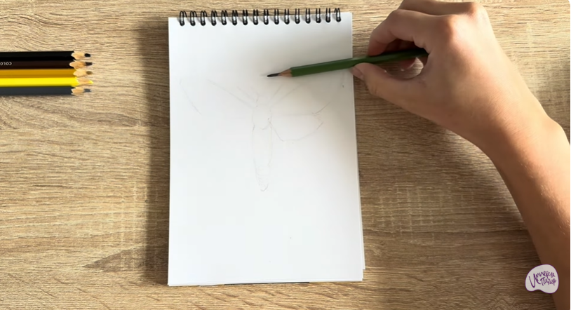 Рисуем Древесница въедливая