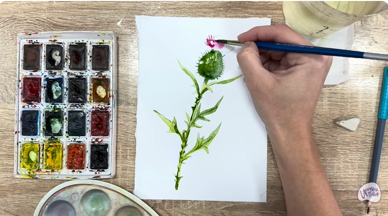 Рисуем Бодяк