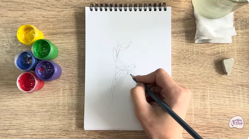 Рисуем Офрис кавказская