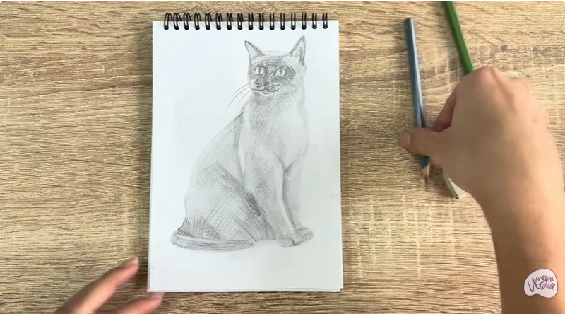 Рисуем Бурманский кот