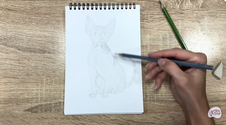 Рисуем Девон Рекс