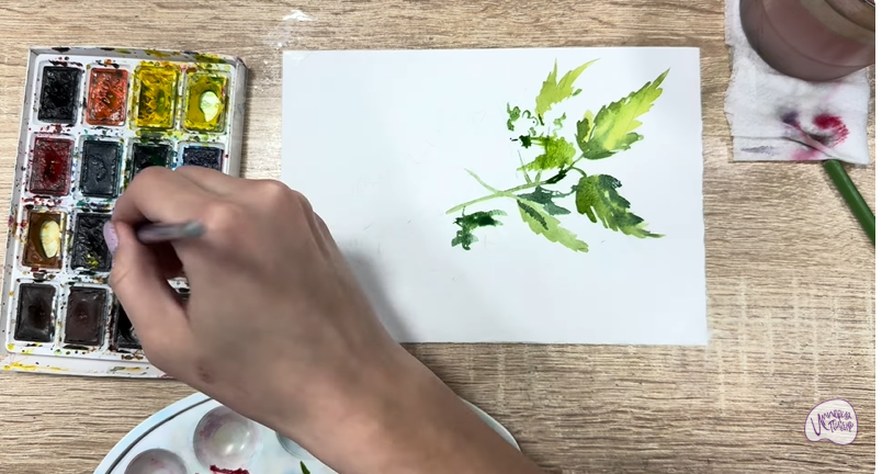 Рисуем Таволга