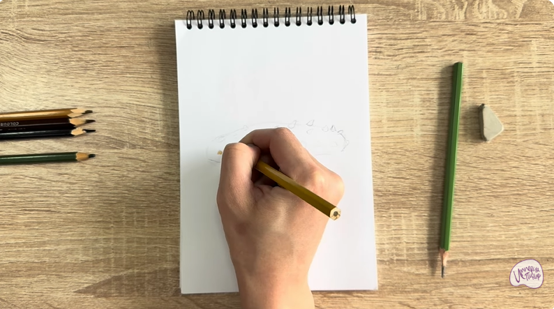 Рисуем Голотурия