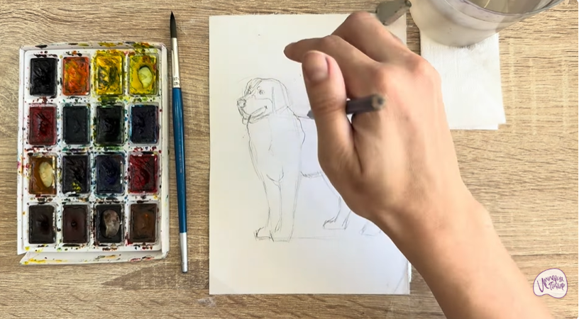 Рисуем Собака породы Бернский зенненхунд