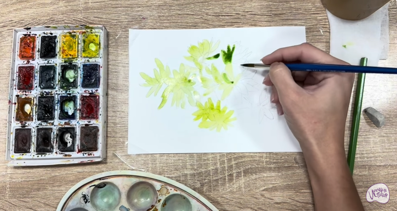 Рисуем Очиток