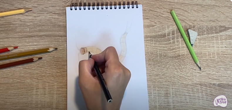 Рисуем Сколопендра