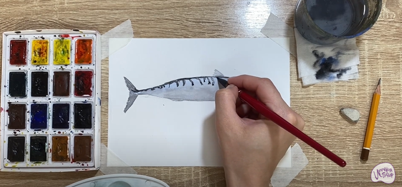 Рисуем Скумбрия