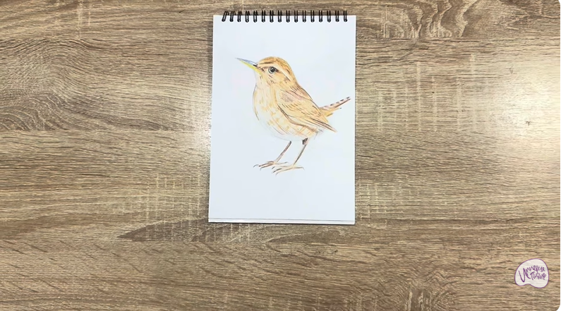 Рисуем Крапивник