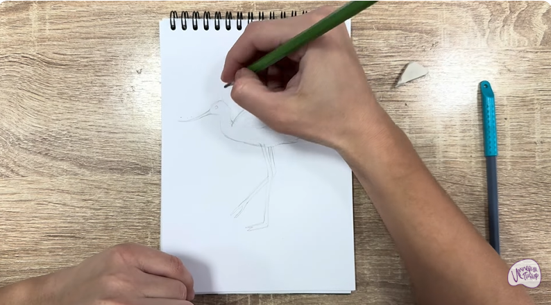 Рисуем Шилоклювка