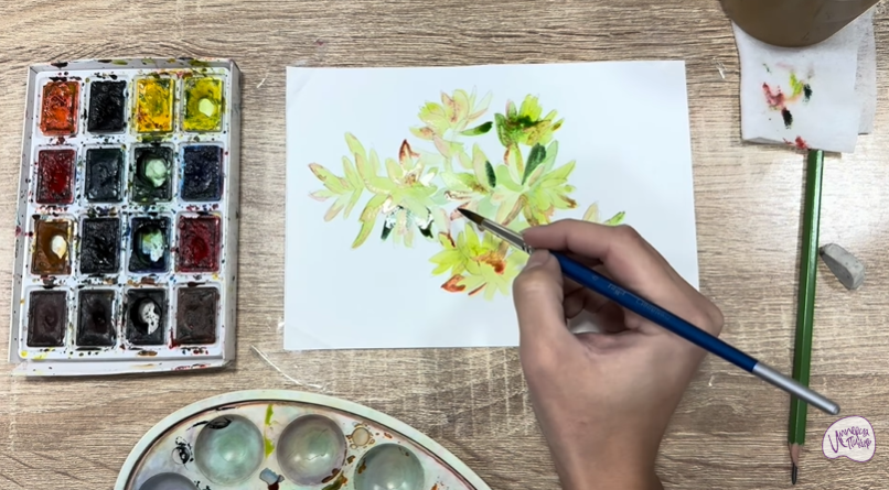 Рисуем Очиток