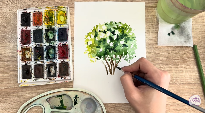 Рисуем Саженец бирючины