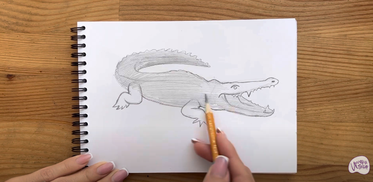 Рисуем Крокодил