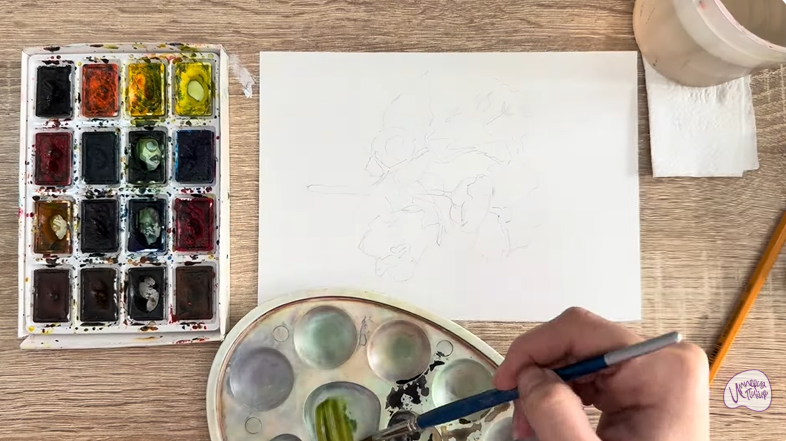 Рисуем Алтей лекарственный