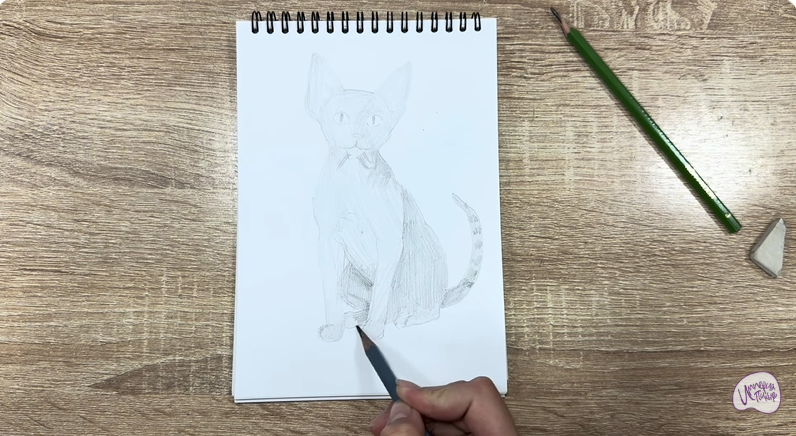 Рисуем Девон Рекс