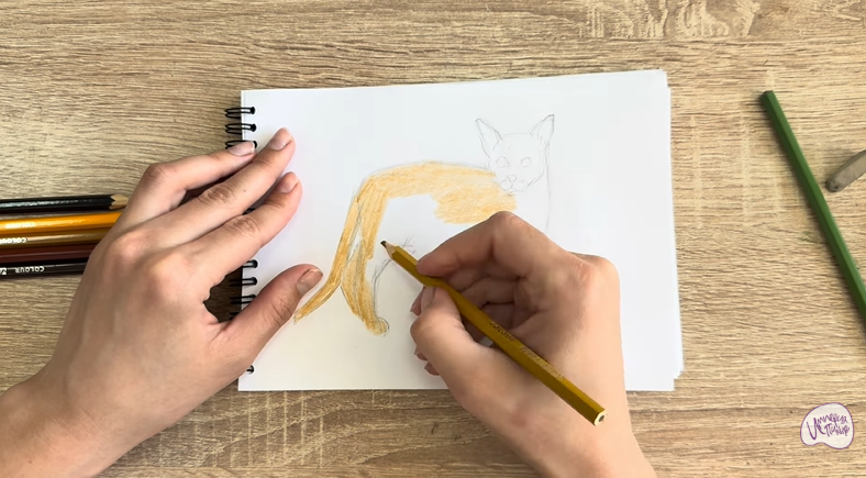 Рисуем Кот породы Оцикет